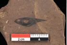 Foto (Detailansicht) von Pinus laricio Poiret (NHMW-GEO-2024-0188-0232)